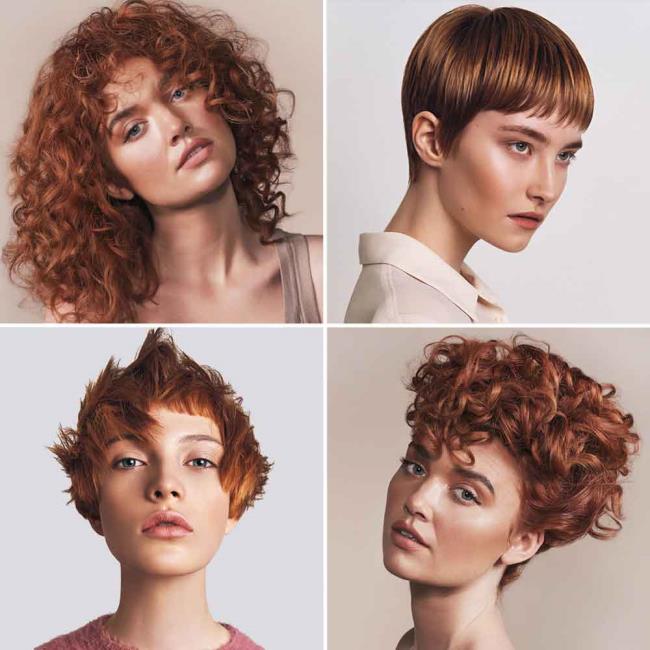 Hair color 2020 Summer: trends in 160 images