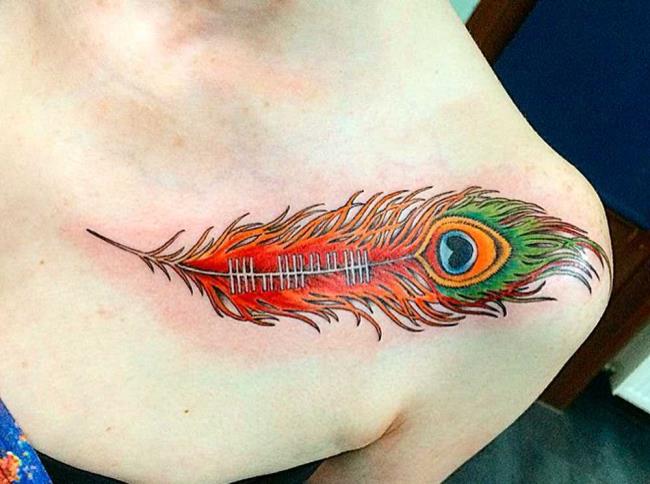 Tatuagem de penas: significado e 150 fotos para inspirar você