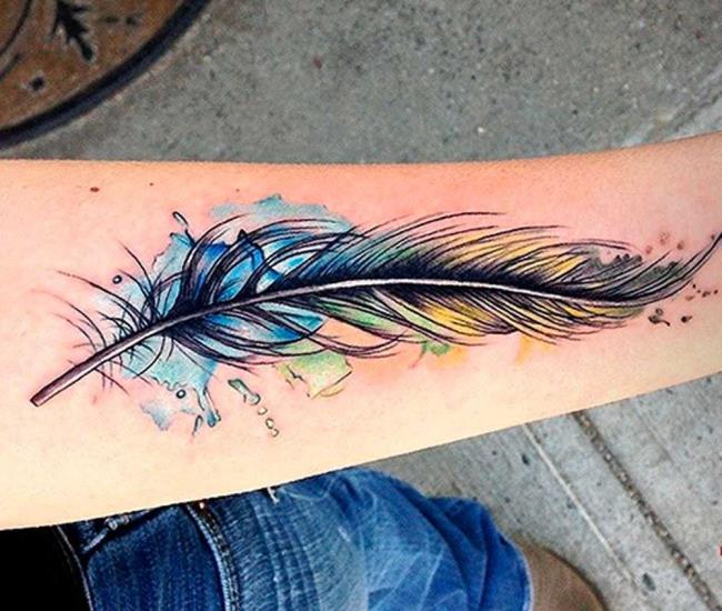 羽毛纹身：意义和150张照片可以激发您的灵感