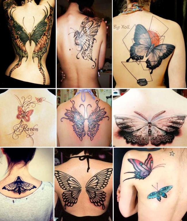 Tatouages ​​papillon: 200 PHOTOS et des idées inspirantes!