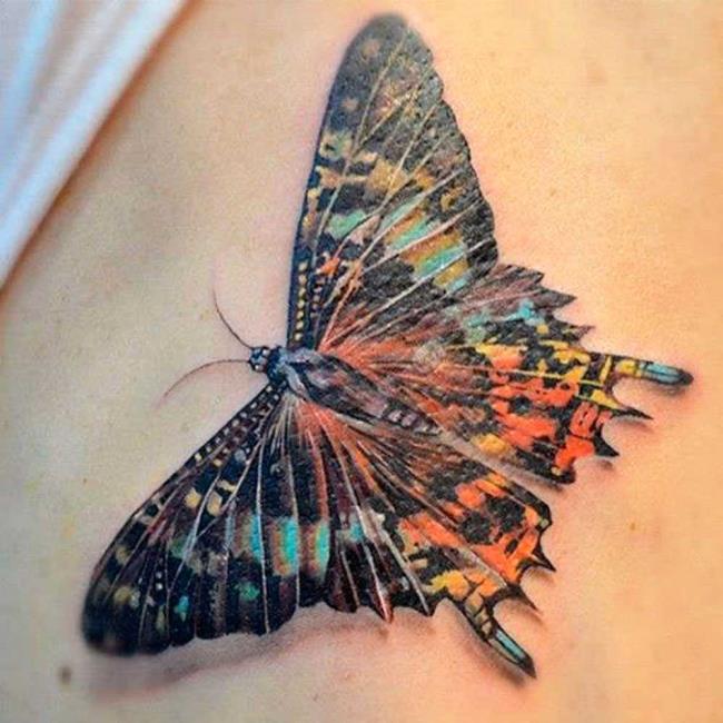 Butterfly tattoos: 200 PHOTOS and inspiring ideas!