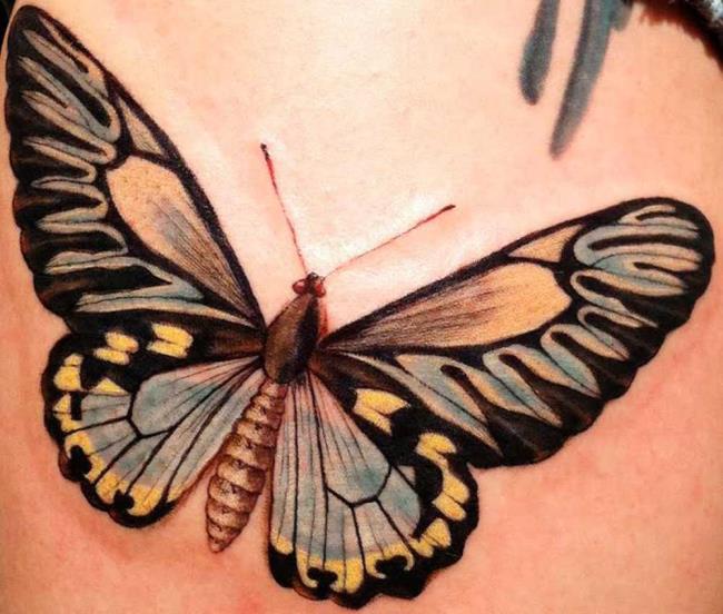 Butterfly tattoos: 200 PHOTOS and inspiring ideas!