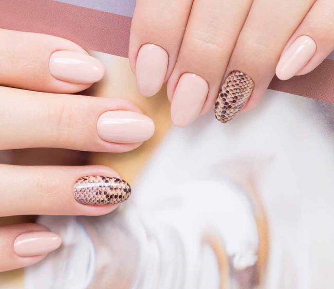 Accent Nail Art: what it is, how to do it, images examples