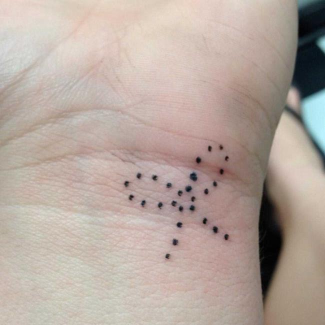 Kleine und feminine Tattoos: 200 Fotos und Ideen, die Sie inspirieren