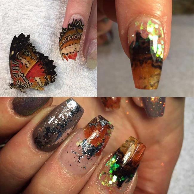 Manicure mortal: Nail art com animais reais (mortos): aqui estão as fotos!