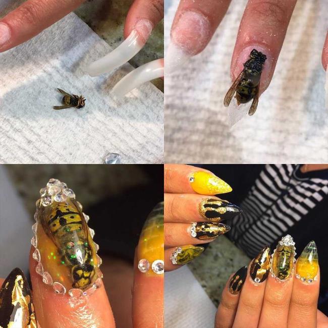 Deadly Manicure: Nail art with real (dead) animals: here are the photos!