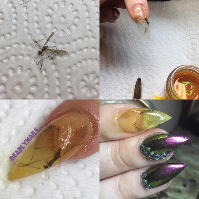 Zabójczy manicure: zdobienie paznokci z prawdziwymi (martwymi) zwierzętami: oto zdjęcia!