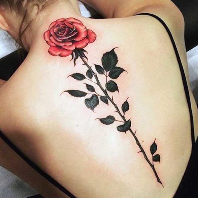 Rose tattoo: betekenis en 200 foto's om je te inspireren