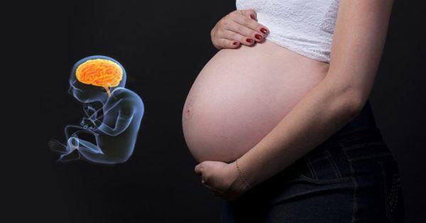 Gravidez inteligente - um guia detalhado para as etapas de desenvolvimento do cérebro do feto com 3 meses de idade