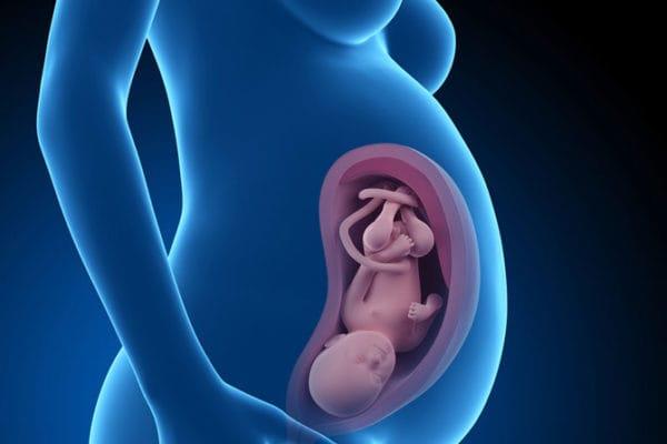 De belangrijke index van 36 weken foetus en beantwoordt de meest voorkomende vragen van zwangere moeders