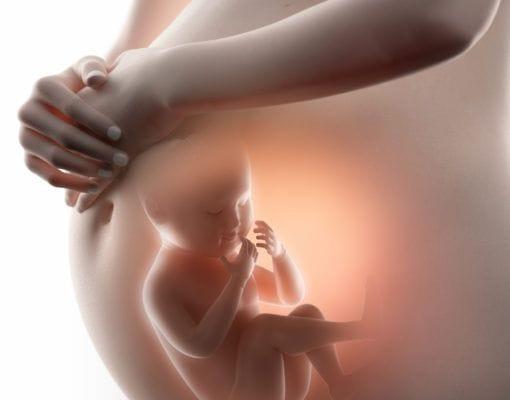 O que é um bom peso padrão do feto de 9 meses para um bebê seguro?