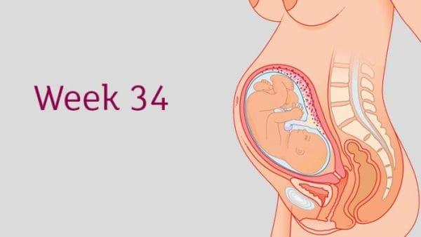 5 tips for the 34-week-old fetus to develop rapidly, not to be born prematurely