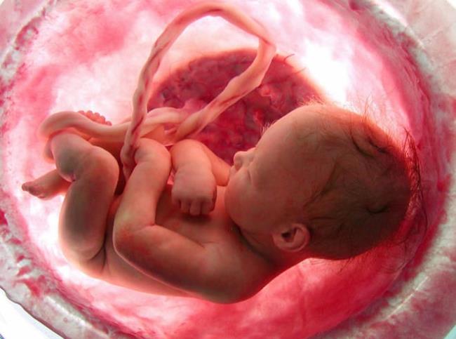 10 rzeczy, które należy wiedzieć o przechowywaniu krwi pępowinowej u niemowląt