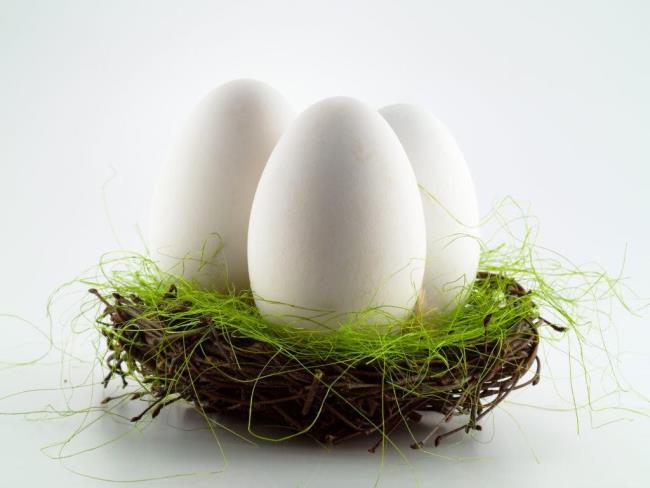 When is it good for pregnant women to eat goose eggs?
