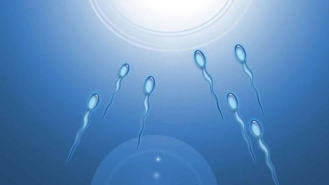 妊娠率を上げるために精子をポンピングする体験をすぐに学ぶ