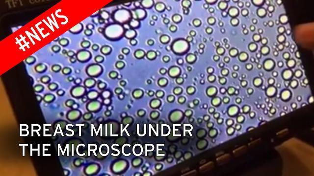 Interesting facts about breast milk through a microscope