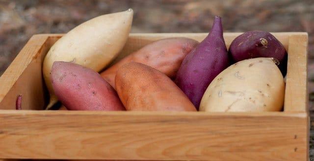 Können schwangere Frauen mit Schwangerschaftsdiabetes Süßkartoffeln essen?