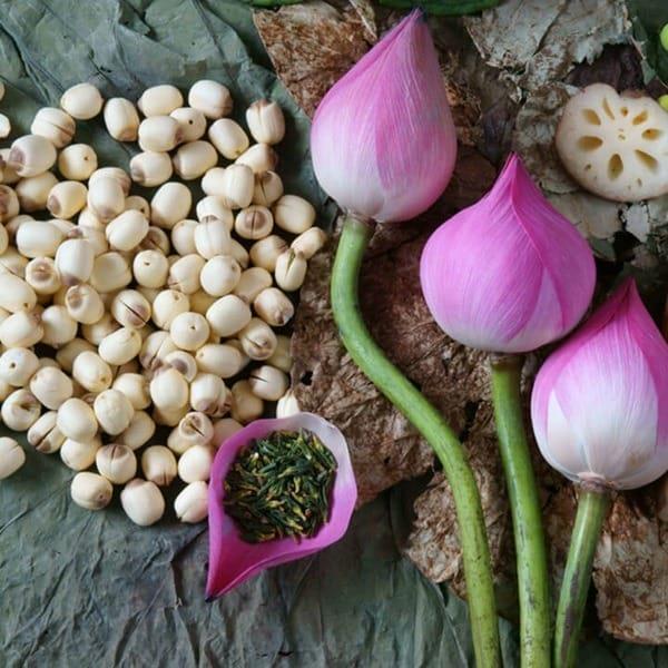 3 deliciosas sopas para mulheres grávidas nos primeiros 3 meses da melhor gravidez