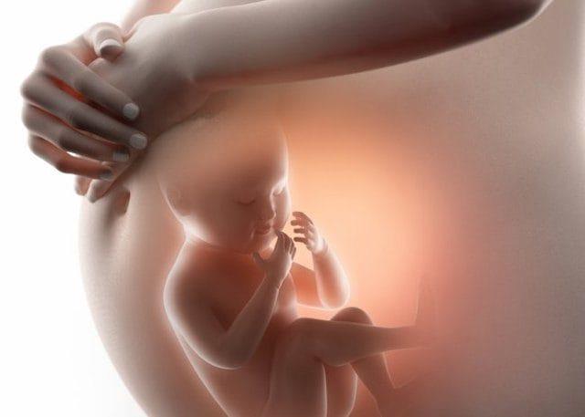 Quels sont les signes de malformation fœtale et quelle en est la cause chez la mère?