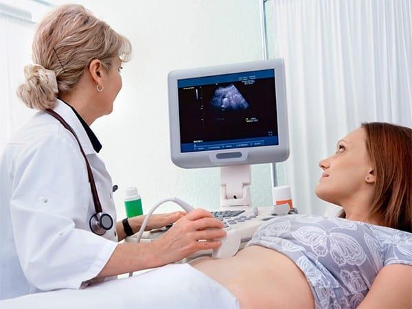 Ausdrücke, wenn die genauesten embryoschwangeren Mütter wissen müssen