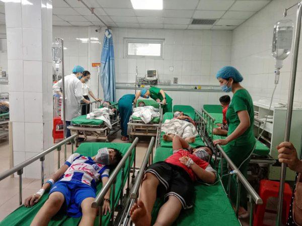 Het nieuwe schooljaar is net begonnen, er waren veel ongelukken met bijensteken in het ziekenhuis: 26 studenten in Quang Tri en 6 studenten in Nghe An.