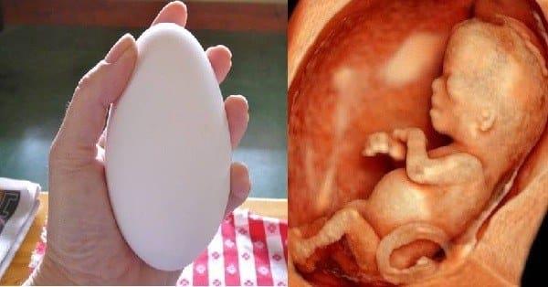 指導懷孕的母親吃標準的鵝卵以幫助胎兒發育