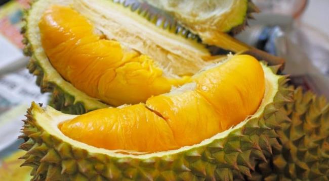 Est-ce que manger du durian pendant l'allaitement peut changer le goût du lait maternel, incitant le bébé à critiquer le lait?