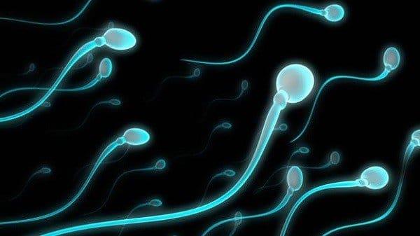 Are sperm swallowing pregnant?  The truth is not everyone understands!