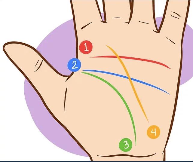See men's hand lines to predict future career and destiny
