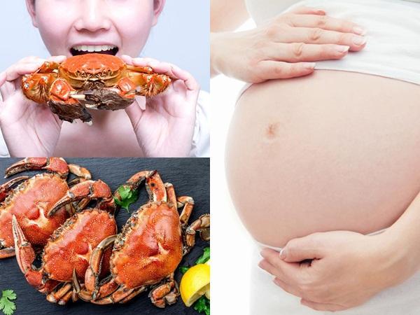 임신 중에 게를 먹을 수 있습니까?  임산부 임산부 해산물의 인기 질문!