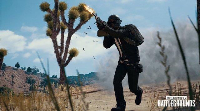 PUBG: Solo and Squad, which mode should be more suitable for you?