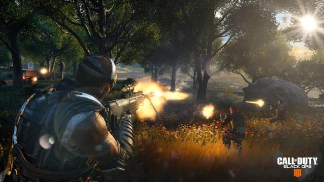 Wissenswertes zum Battle Royale-Modus in Call Of Duty: Black Ops 4