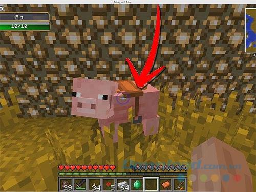 Guide for riding pigs and horses in Minecraft