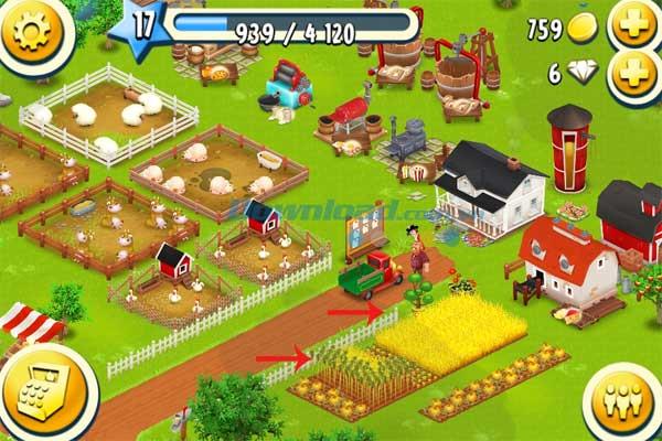 Top useful tips for Hay Day players - Part 1