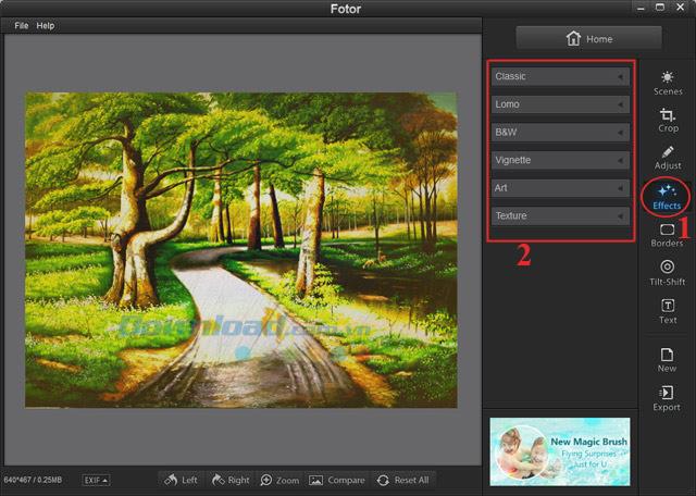 Install and use Fotor free photo editing