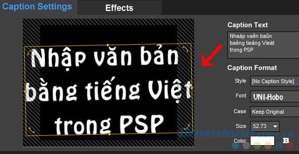 Typing Vietnamese in ProShow Producer
