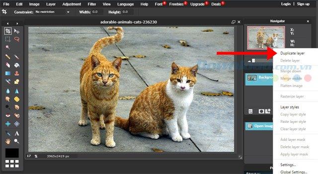 Como criar fotos para remover fontes, desfocar fotos com o Photoshop Online