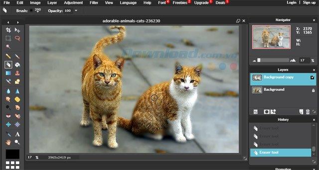 Como criar fotos para remover fontes, desfocar fotos com o Photoshop Online