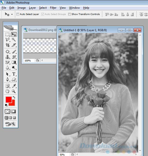 Transforme fotos coloridas em fotos em preto e branco pelo Photoshop