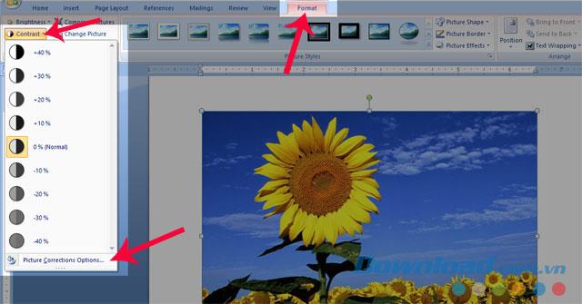 Instructions for blurring images in Word