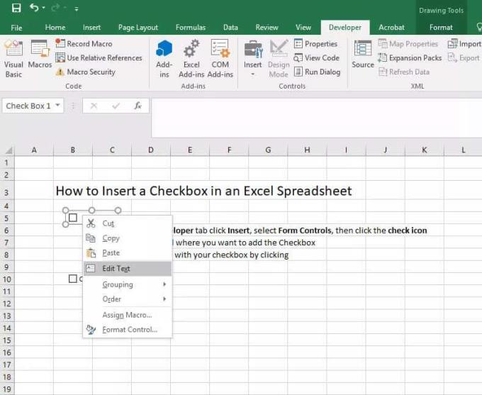 Petunjuk untuk memasukkan kotak centang di Excel