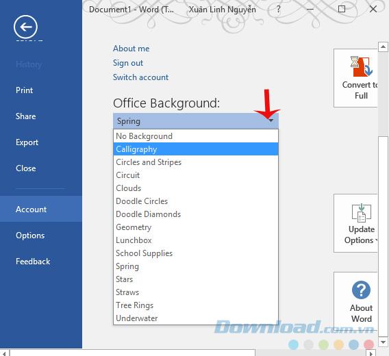 Tips to customize the interface of Microsoft Office 2016