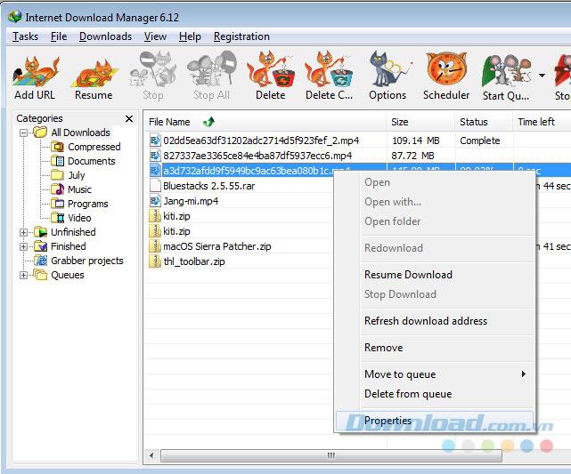 Correction dune erreur de téléchargement cassée de 99% dInternet Download Manager (IDM)