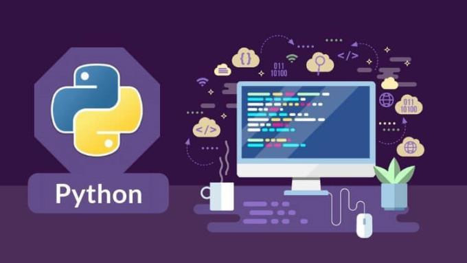 TOP beste Online-Python-Kurse