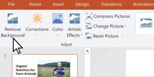 Salient features on Microsoft Office 2019