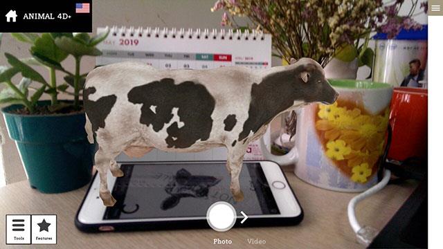 Comment utiliser Animal 4D + créer des animaux 4D se déplaçant sur votre téléphone
