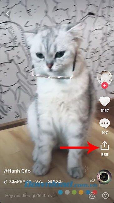 How to save other peoples Tik Tok videos to your device