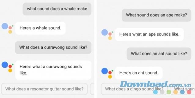 15 häufigste Fragen zu Google Assistant