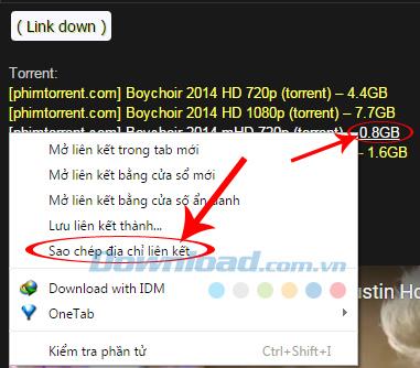 Herunterladen von Torrent-Dateien mit dem Internet Download Manager (IDM)