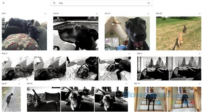 Die besten Tipps für Google Fotos, die Sie nicht verpassen sollten - Teil 1